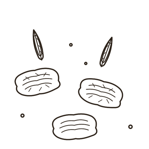 Rolled oats